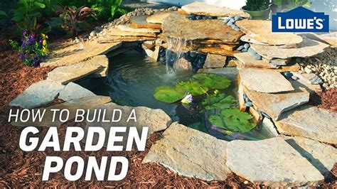 How to Build a Pond in Your Backyard Easy DIY Guide