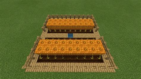 How to Build a Pumpkin Farm in Minecraft Step by Step Guide