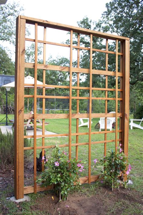 How to Build a Trellis