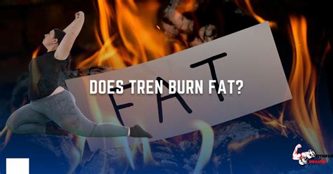 How to Burn Fat Everything You Need to Know