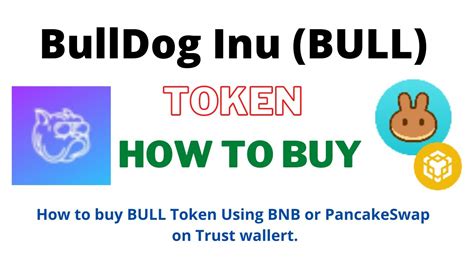 How to Buy BullDoge (BDOGE) Token Using BNB and …