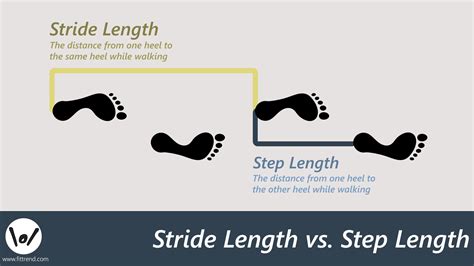 How to Calculate Stride Length By Height