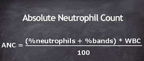 How to Calculate the Absolute Neutrophil Count NursingCenter