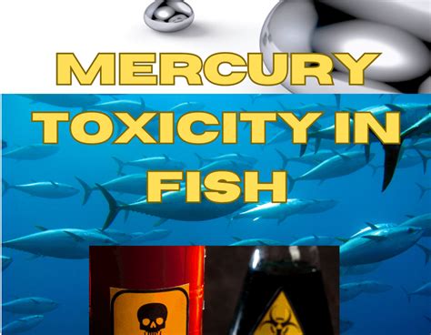 How to Cancel Out the Mercury in Fish