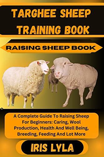 How to Care for Sheep: Complete Guide For Beginners