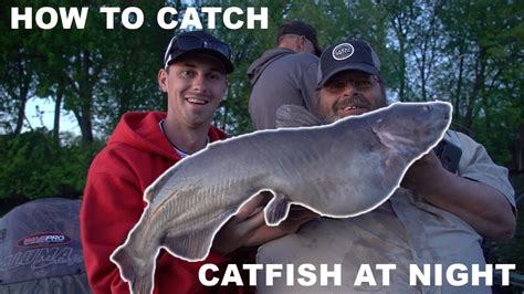 How to Catch Catfish at Night in Lakes - BonfireBob