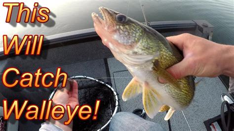 How to Catch Walleye Fishing Secrets Tips and Tricks﻿