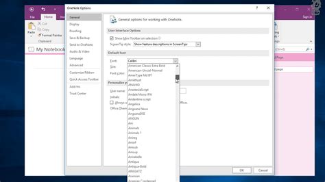 How to Change Default Font Size and Type in OneNote YouTube