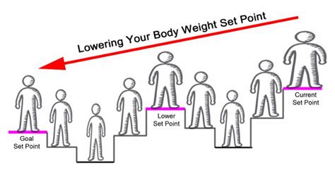How to Change Your Body Weight Set Point