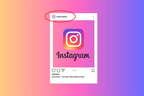 How to Change Your Name on Instagram TechCult
