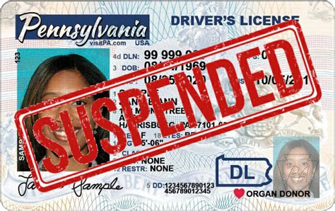 How to Check If Your License Is Suspended or Valid License Status