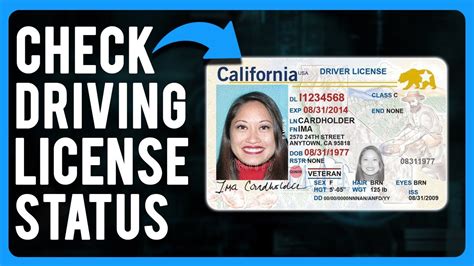 How to Check License Status in the USA