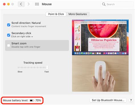 How to Check Your Magic Mouse