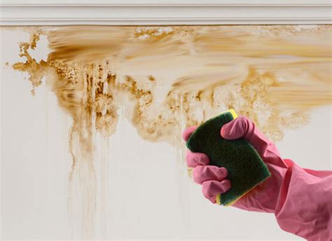 How to Clean Stains From Vinyl Wallpaper Home Guides SF Gate