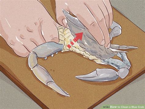 How to Clean a Blue Crab: 9 Steps (with Pictures) - wikiHow