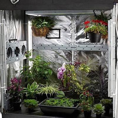 How to Clean a Grow Tent: The Ultimate Guide for a Pristine Indoor Garden