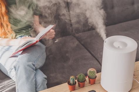 How to Clean a Humidifier - Angi