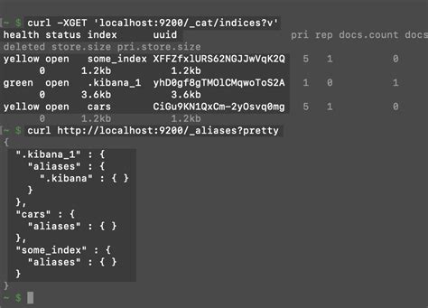 How to Clean and Optimize Elasticsearch Indices