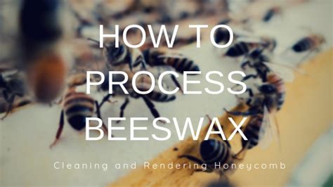 How to Clean and Render Beeswax - Misfit Gardening