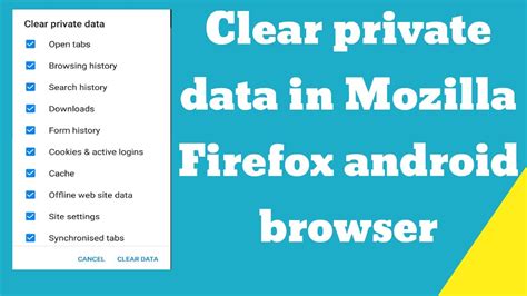 How to Clear Private Data in Mozilla Firefox