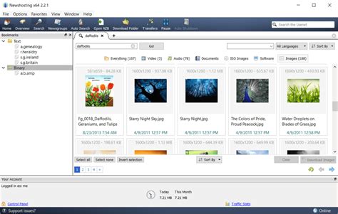 How to Configure the Newshosting Browser