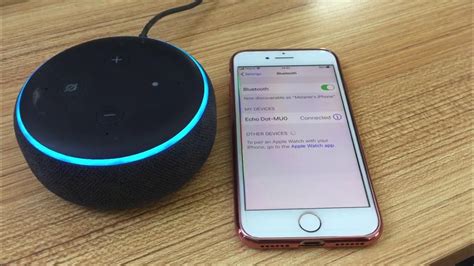 How to Connect an Echo Dot to an iPhone