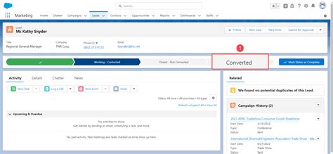 How to Convert Lead to Account Contact or Opportunity in Salesforce