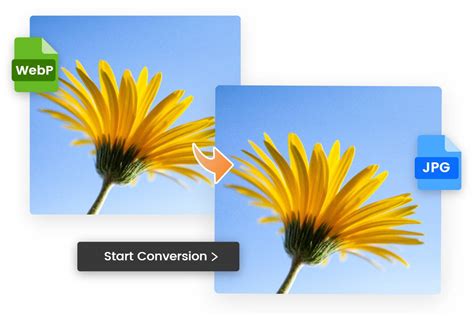 How to Convert WEBP to JPG