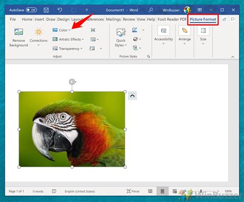 How to Convert an Image from Color to Black and White in Microsoft Word