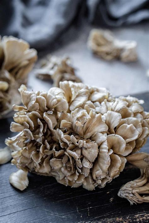 How to Cook Maitake or Hen of the Woods Mushrooms