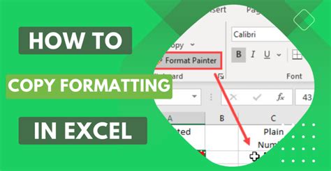 How to Copy Formatting in Excel Copy Cell Formatting Earn & Excel