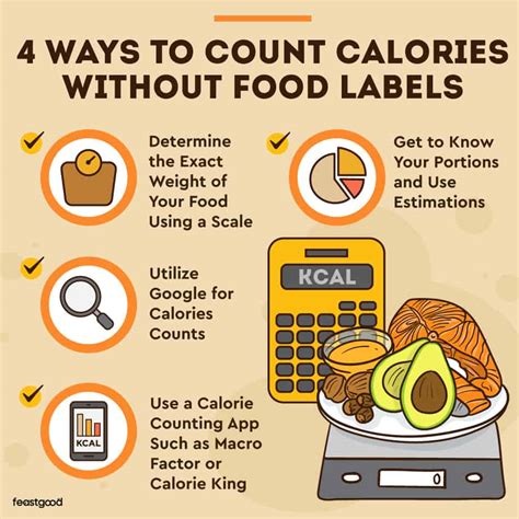 How to Count Calories in Food