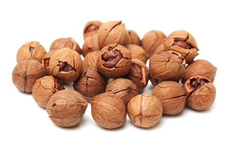 How to Crack Hickory Nuts (Plus Good U…