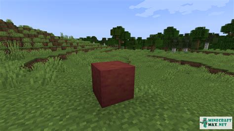 How to Craft and Mine a Stripped Mangrove Wood Minecraft