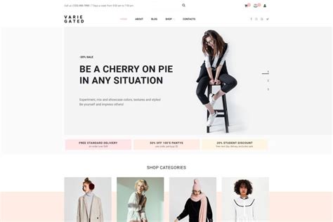 How to Create Online Clothing Store Using Fashion Website …