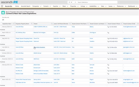 How to Create Salesforce Reports Ultimate SF Reports Guide