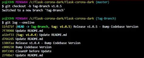 How to Create a Branch From a Tag in Git Delft Stack