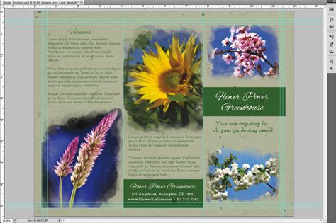 How to Create a Quick and Amazing Brochure in