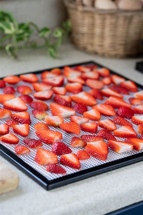 How to Dehydrate Strawberries - Lady Lee