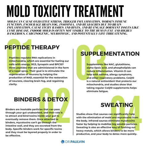 How to Detox Your Body from Mold Signs and Treatment of Mold Toxicity