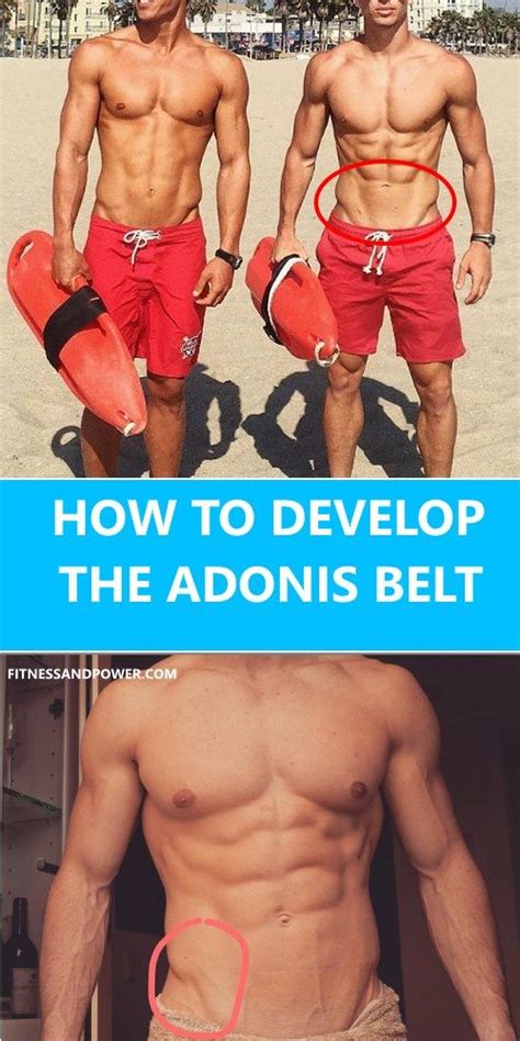 How to Develop an Adonis Belt