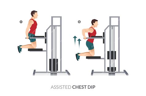 How to Do Assisted Dips Techniques Benefits Variations