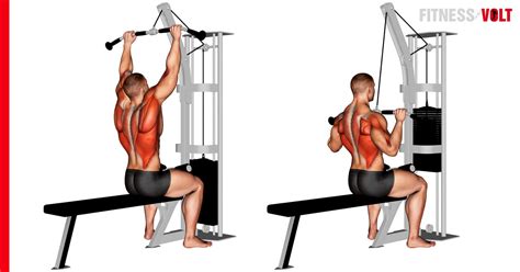 How to Do Cable Pulldowns Techniques Benefits Variations