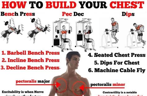 How to Do Chest Exercises, Chest Programs, Benefits, Tips