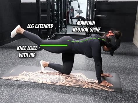 How to Do Kickbacks Correct Form Tips Technique and More