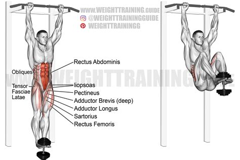 How to Do a Hanging Leg Raise Techniques Benefits Variations