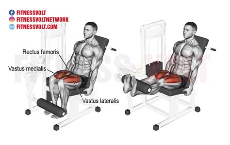 How to Do a Leg Extension Techniques Benefits Variations