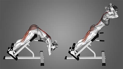 How to Do a Machine Back Extension Techniques Benefits Variations