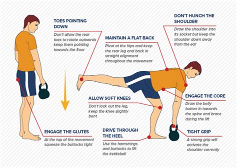 How to Do a Single Leg Deadlift Techniques Benefits Variations