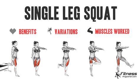 How to Do a Single Leg Squat Techniques Benefits Variations